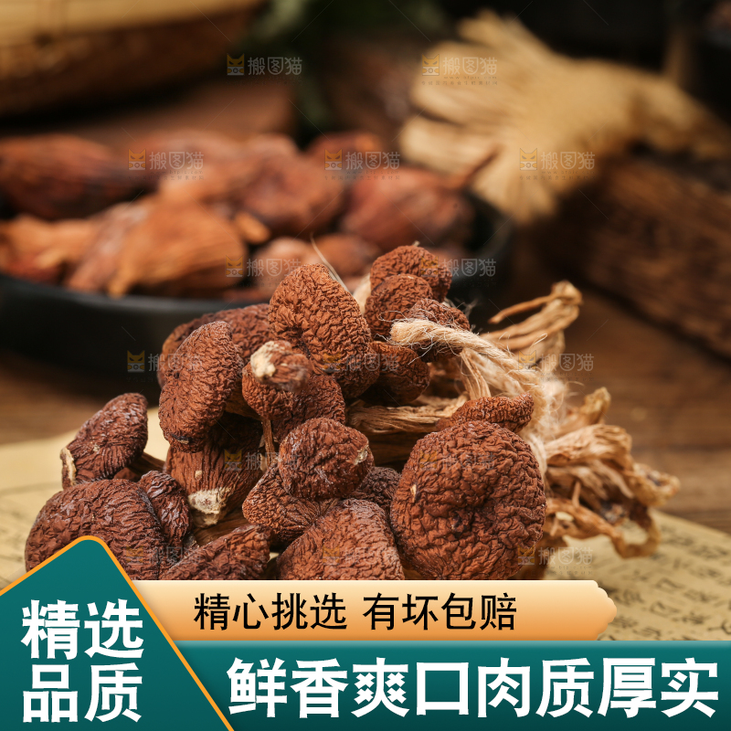 书本上放着茶树菇
