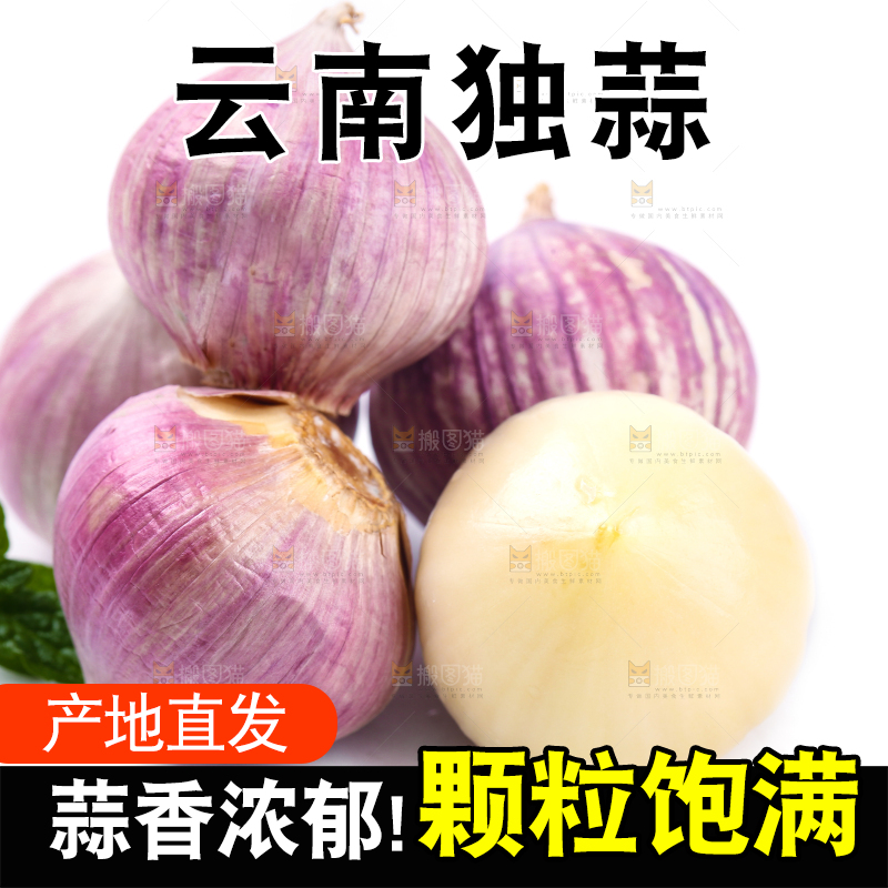 白底上摆放着紫皮独蒜