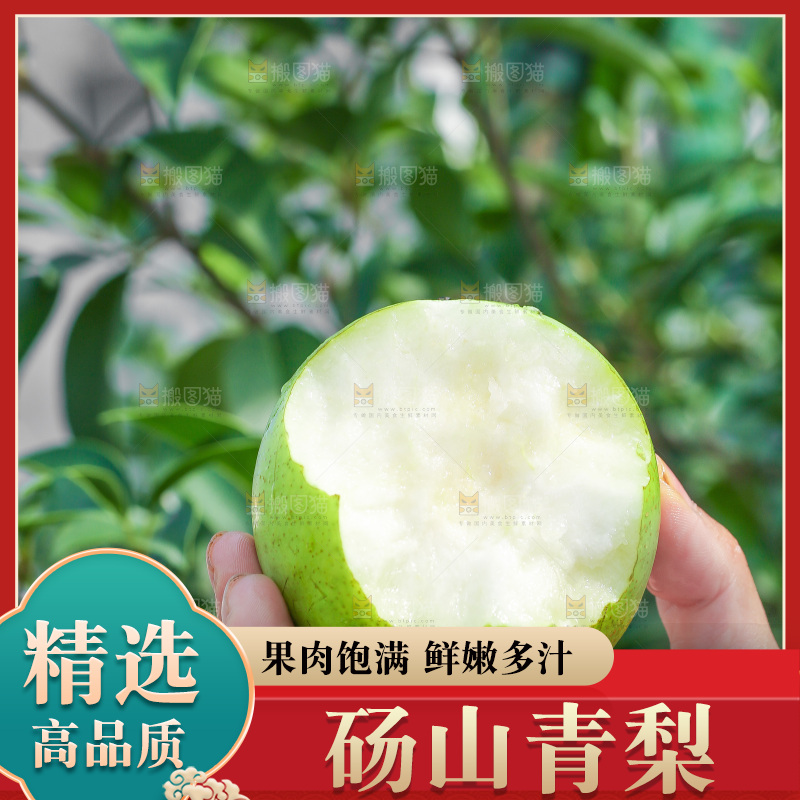 手里拿着砀山苹果梨