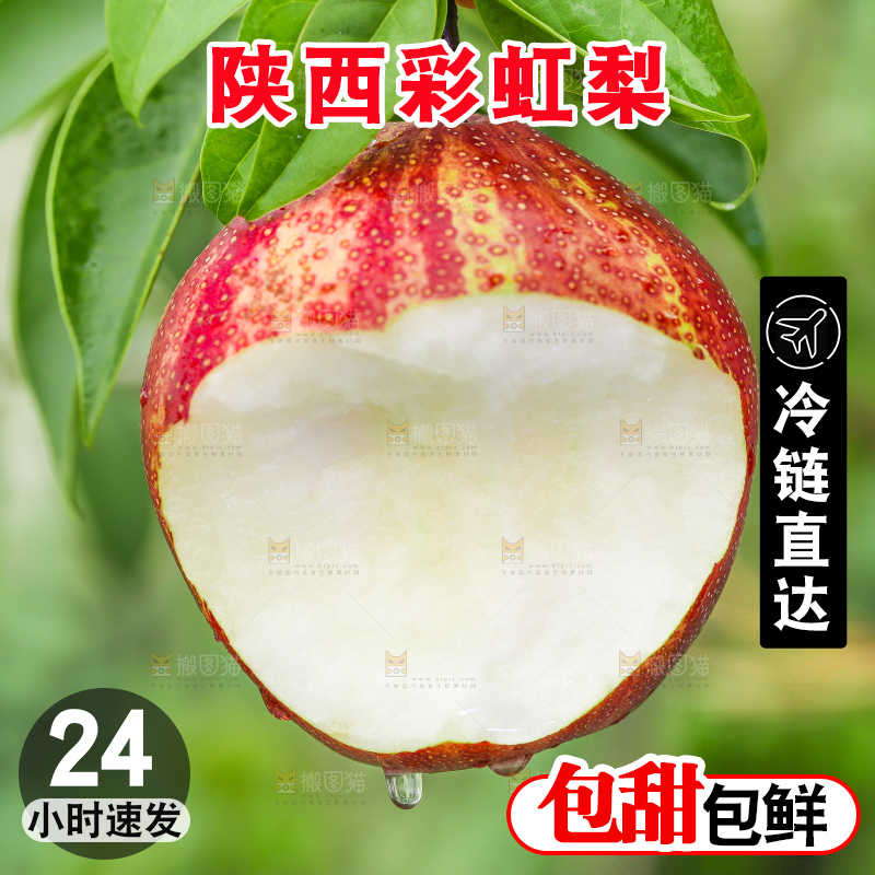 树枝上的彩虹梨