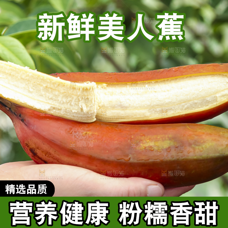 手拿剥皮的红皮香蕉