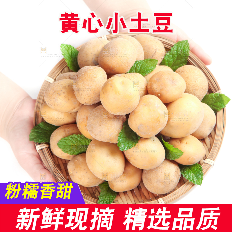 手端一盘云南小土豆