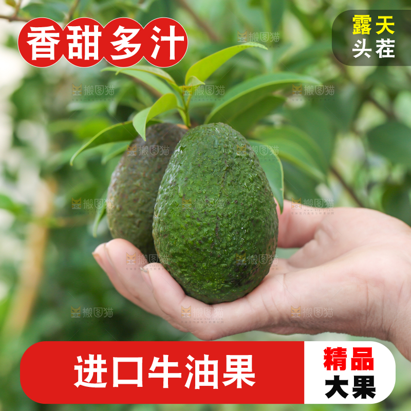 手里拿着牛油果