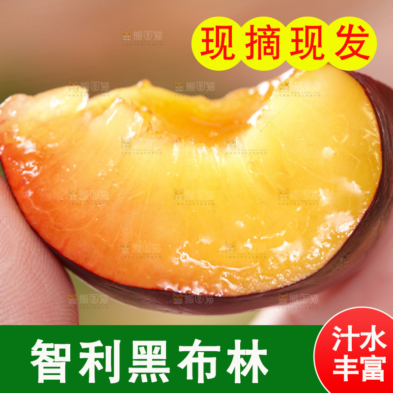手拿掰开的黑布林