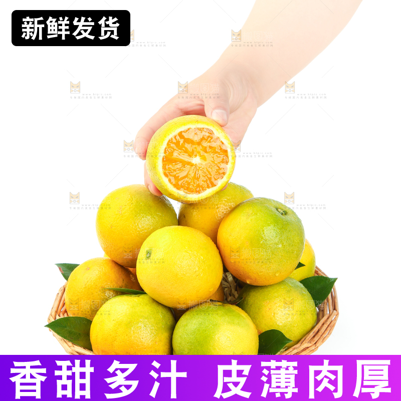 手拿秭归夏橙