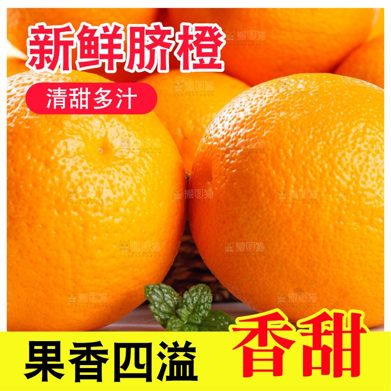 白底上摆放着橙子