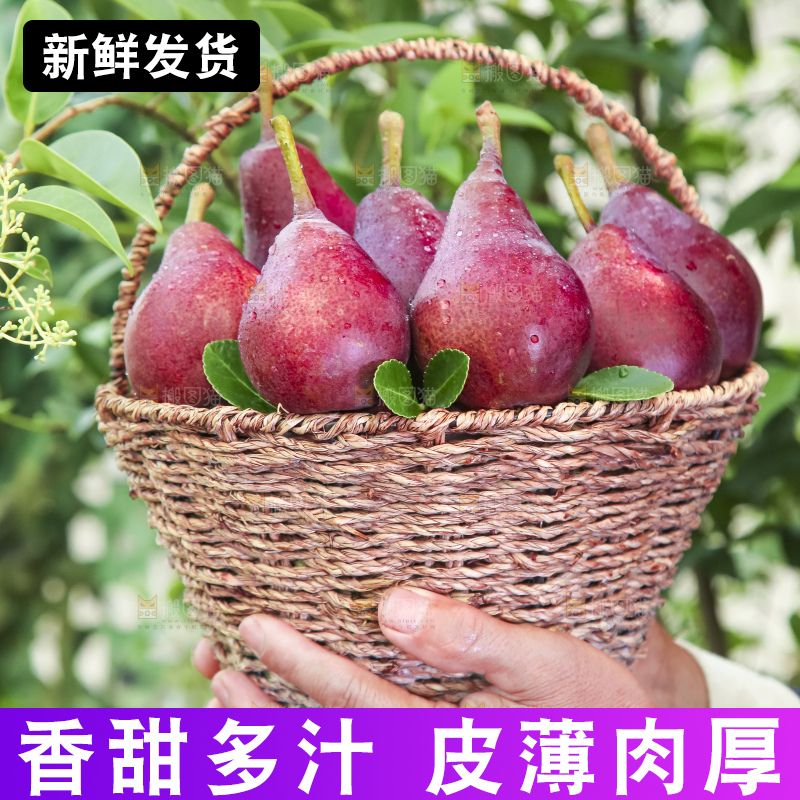 手拿一筐红啤梨