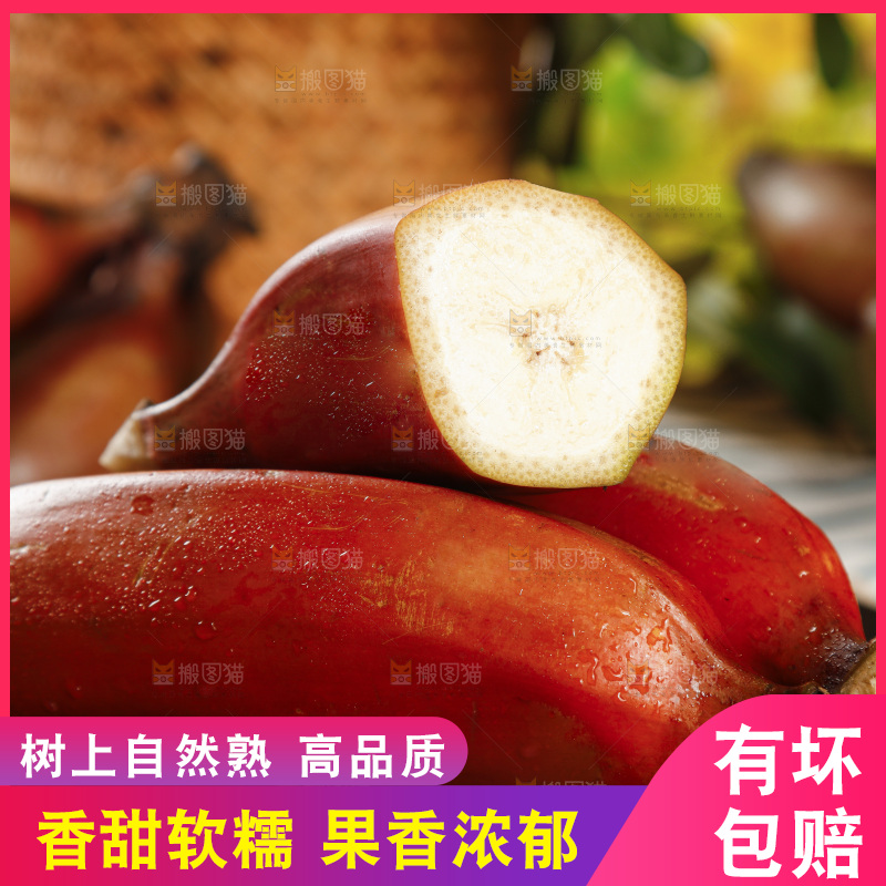 黑石板上的红皮美人蕉