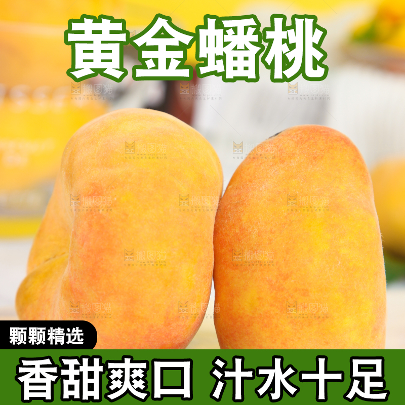 石板上的黄金扁桃