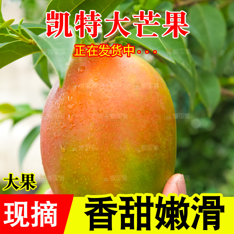 手拿凯攀枝花特芒