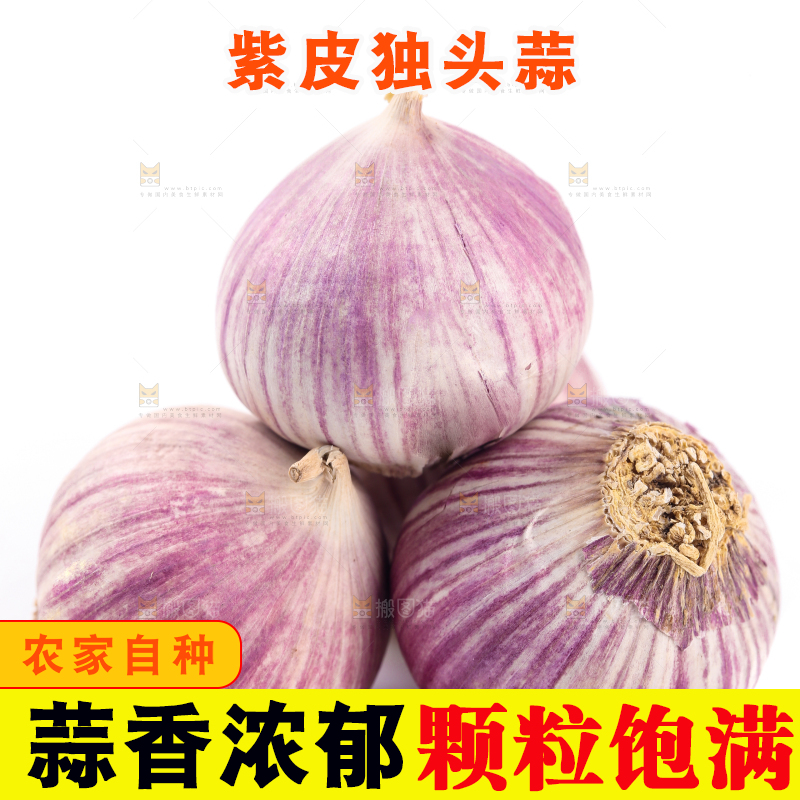 白底上摆放着独蒜