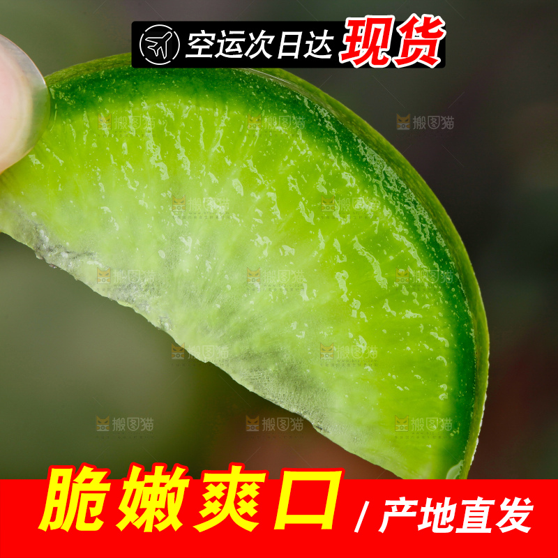 手里拿着萝卜