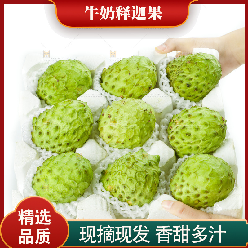 手里端着释迦果