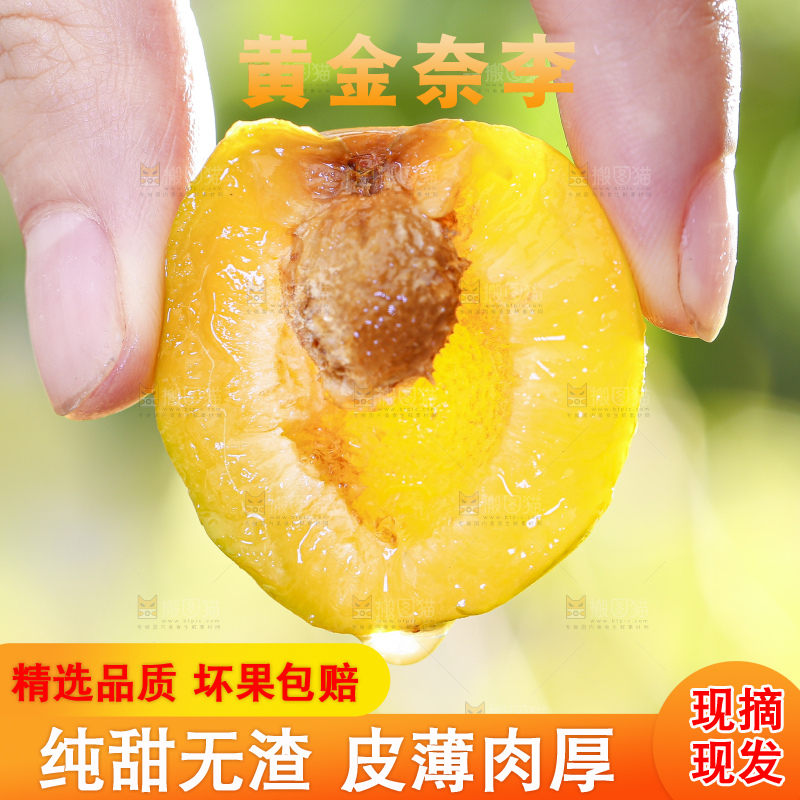 手拿掰开的黄金奈李