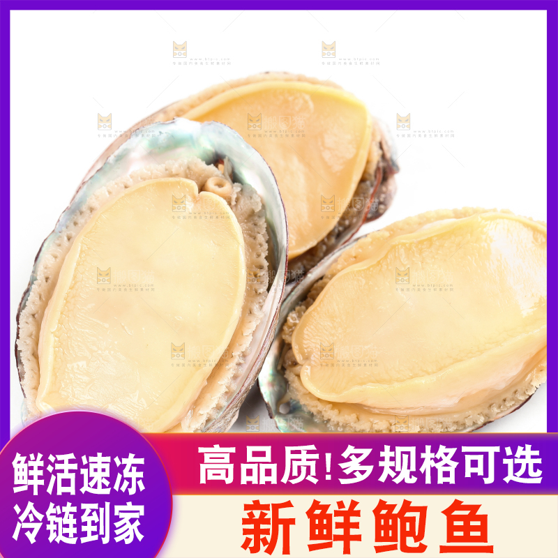 白底上放着新鲜剥开的活动大鲍鱼