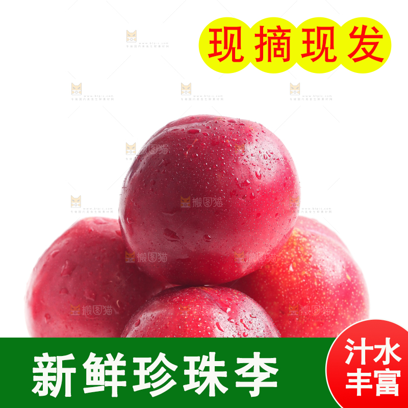 白底上的珍珠李