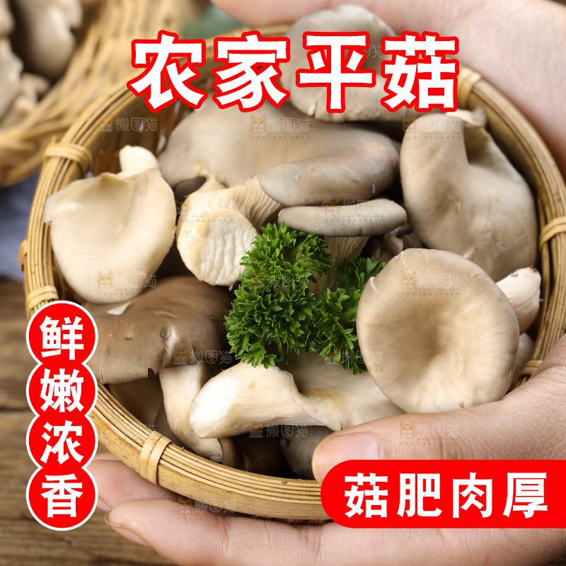 篮子里装着平菇
