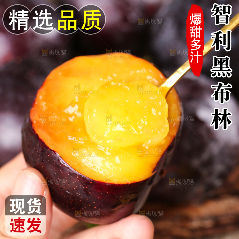 勺子里的黑布林果肉