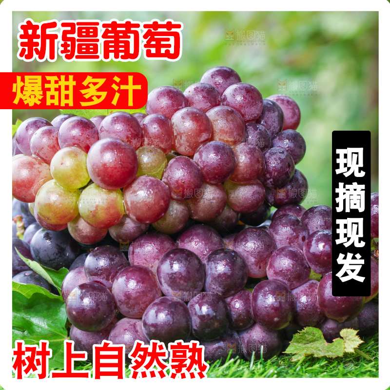 草地上的新鲜葡萄