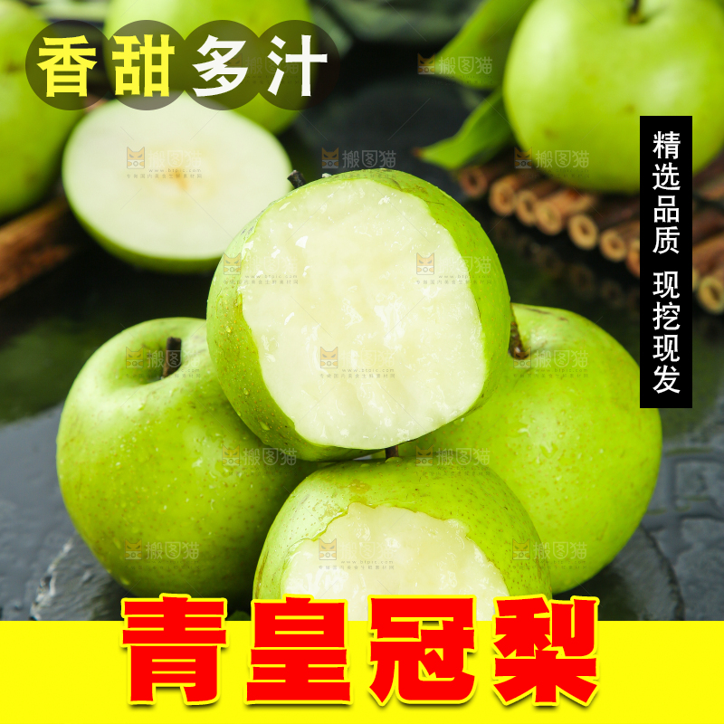 黑底上的砀山青梨