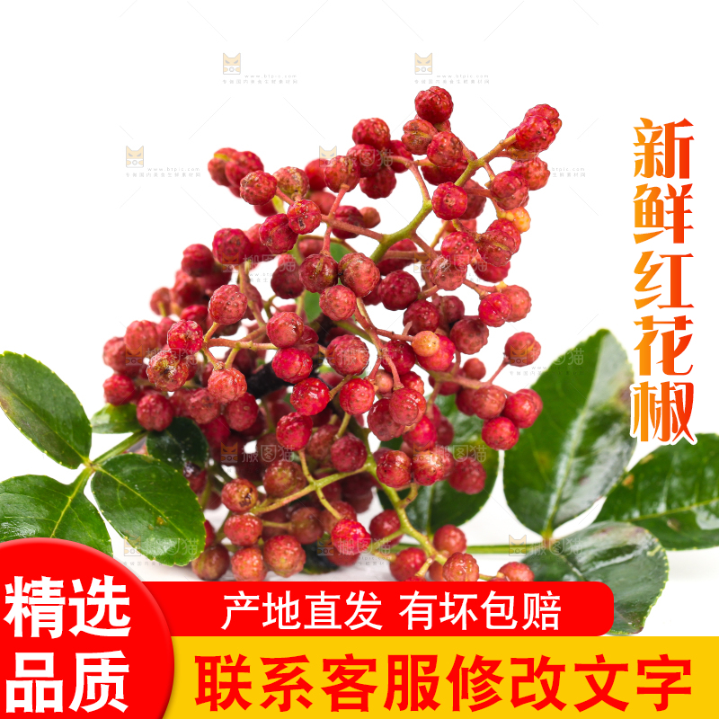 白底上的新鲜花椒
