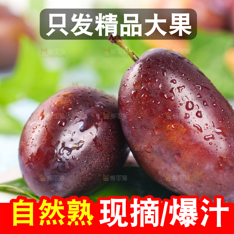 石板上的西梅