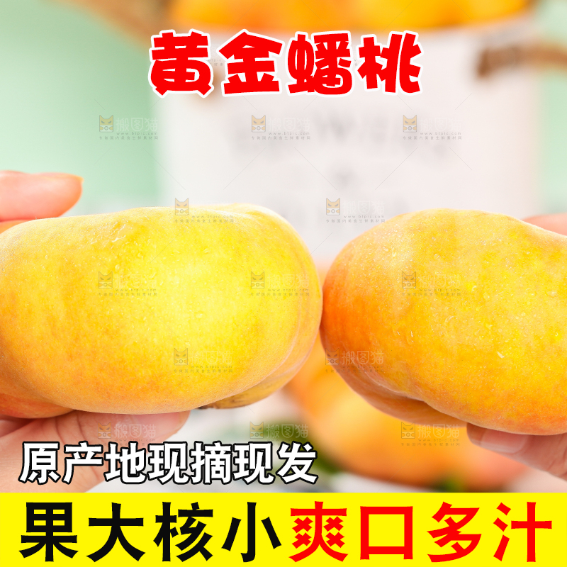手拿黄金毛蟠桃