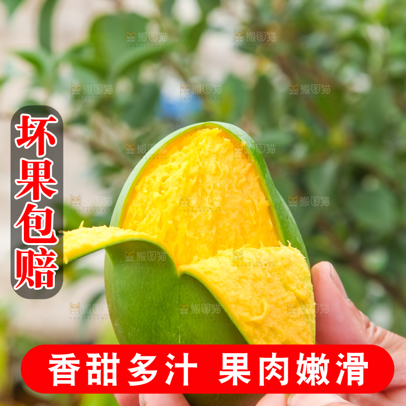 手拿剥皮的四川凯特芒