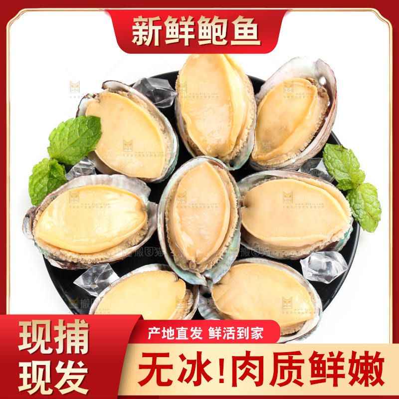 白底上放着新鲜剥开的鲜鲍鱼
