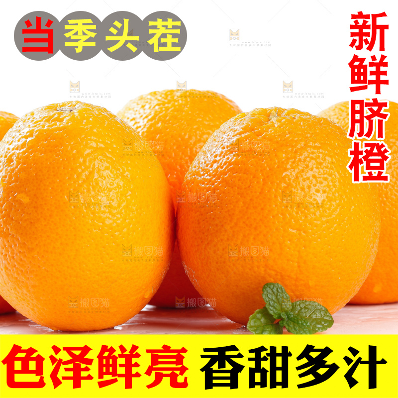 白底上摆放着脐橙