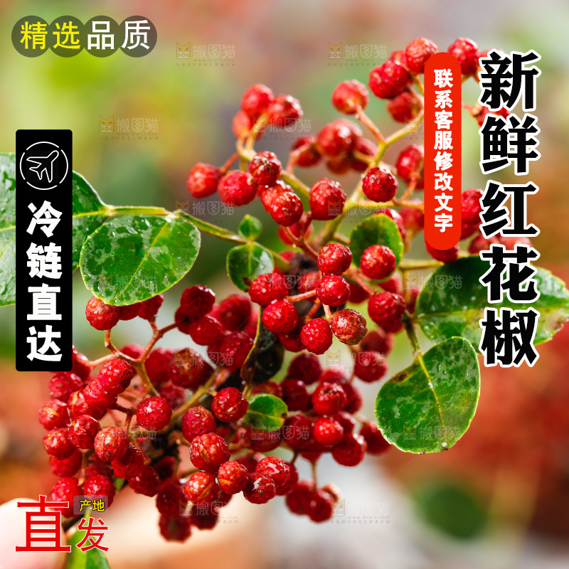 手拿新鲜花椒