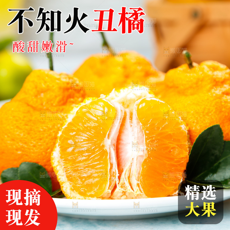 碟子里装着丑八怪