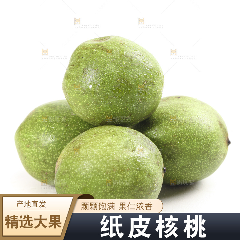 白底上的新鲜青皮核桃