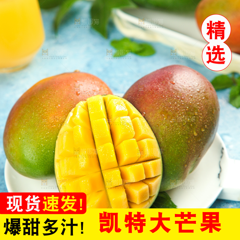 凯特芒主图
