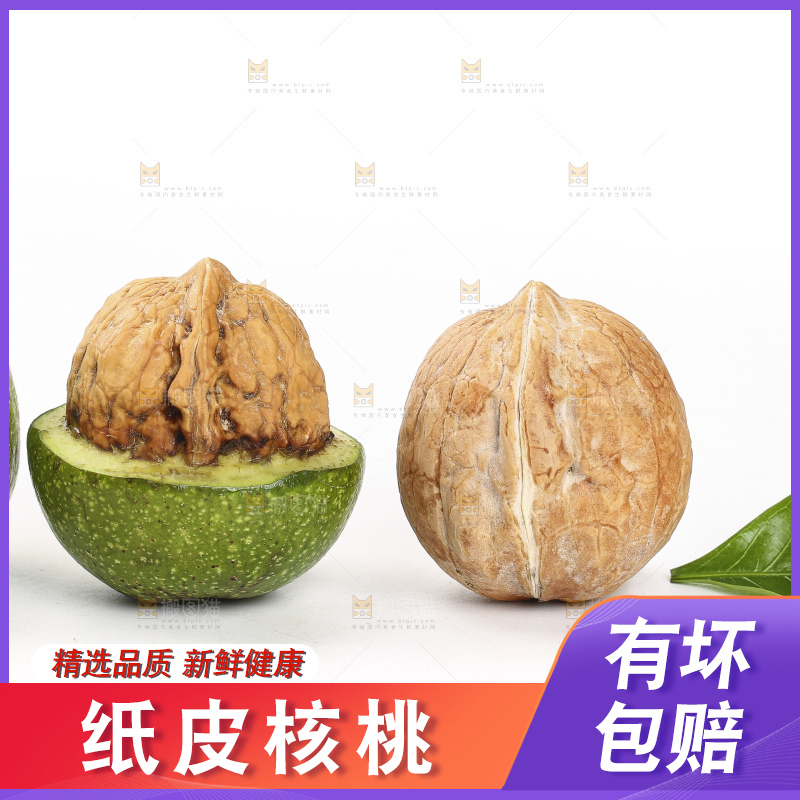 白底上的新鲜核桃