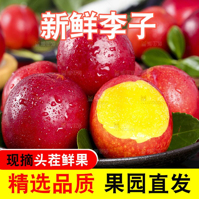 一盘珍珠李放在石板上