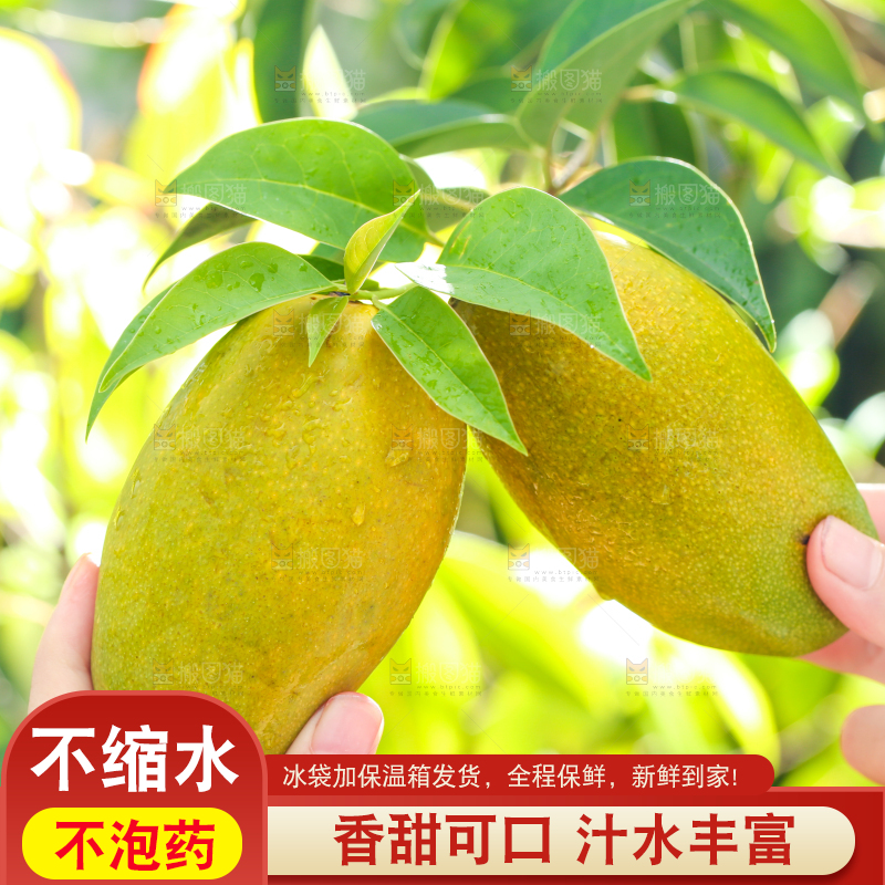 手拿切开的椰香芒果