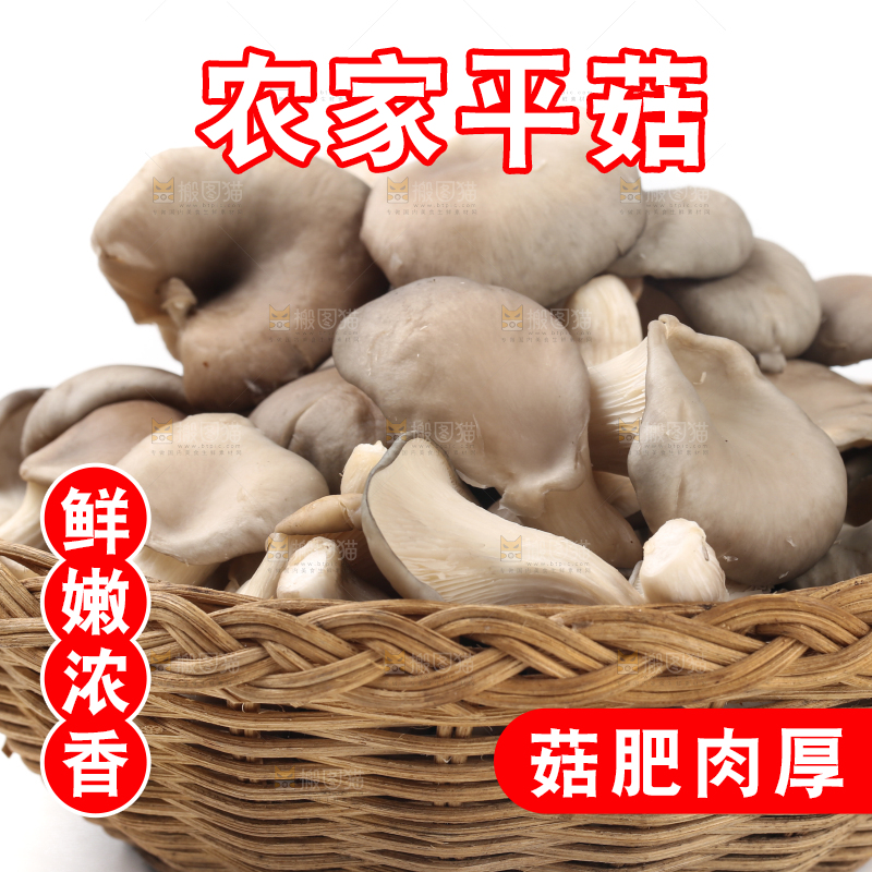 篮子里装着平菇