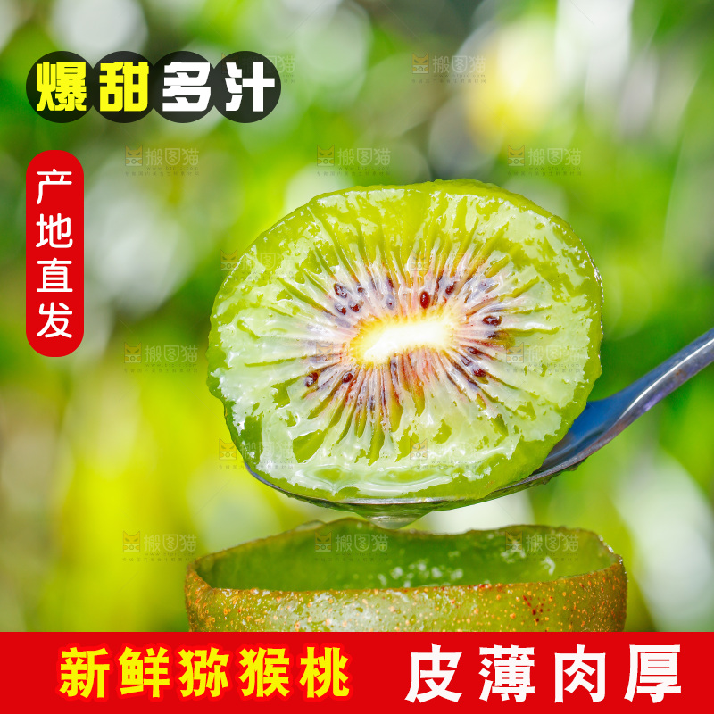勺子里的猕猴桃果肉