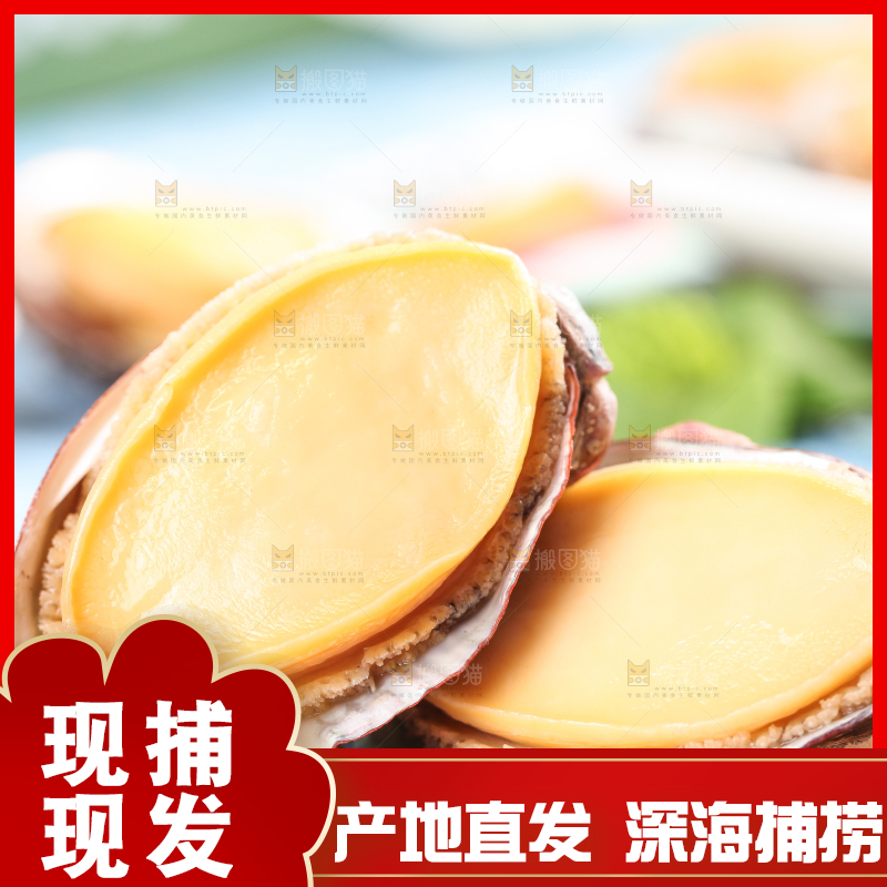 木底上放着鲜冻鲍鱼