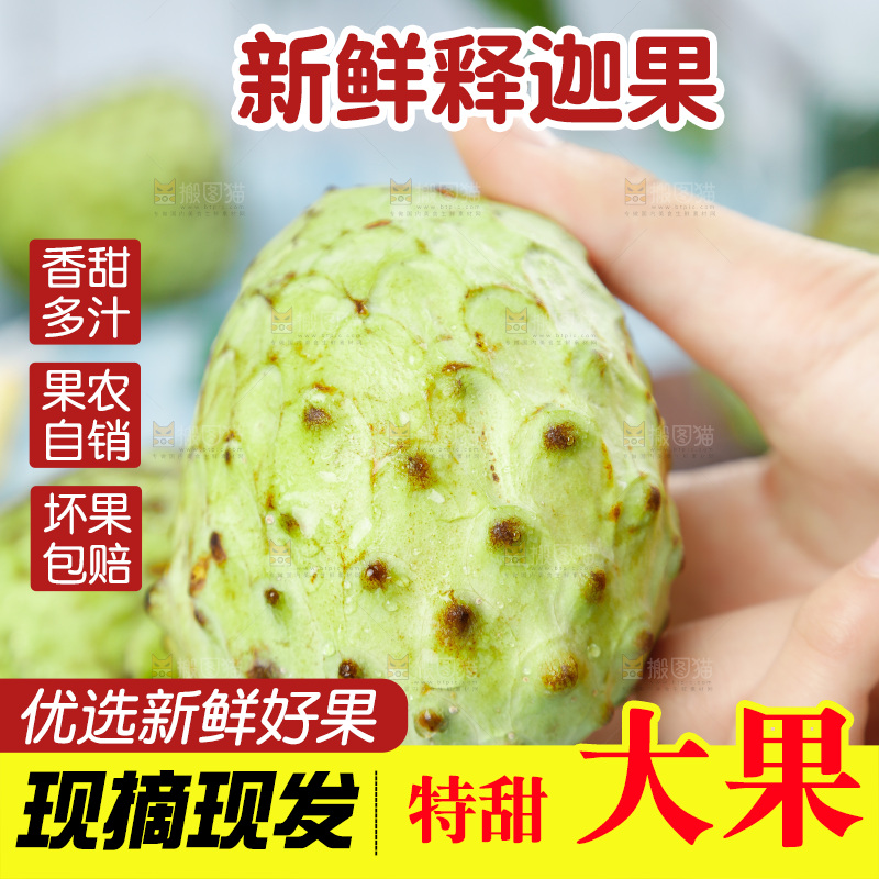 手里拿着释迦果