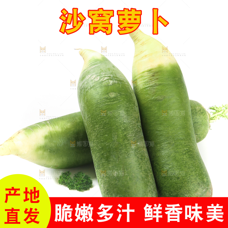白底上摆放着绿心萝卜