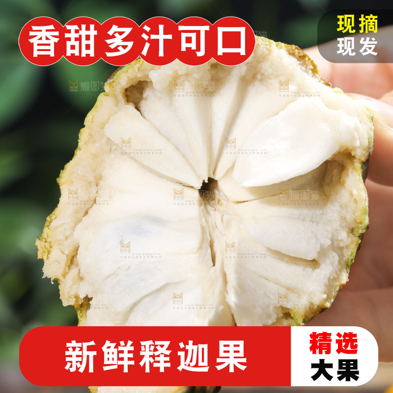 手里拿着释迦果