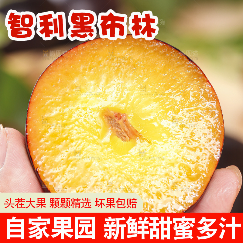 手拿切开的黄肉黑布李