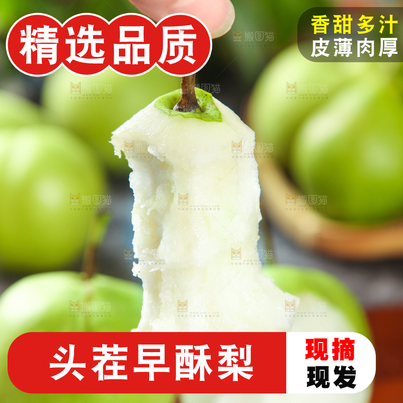 手拿早酥梨果核