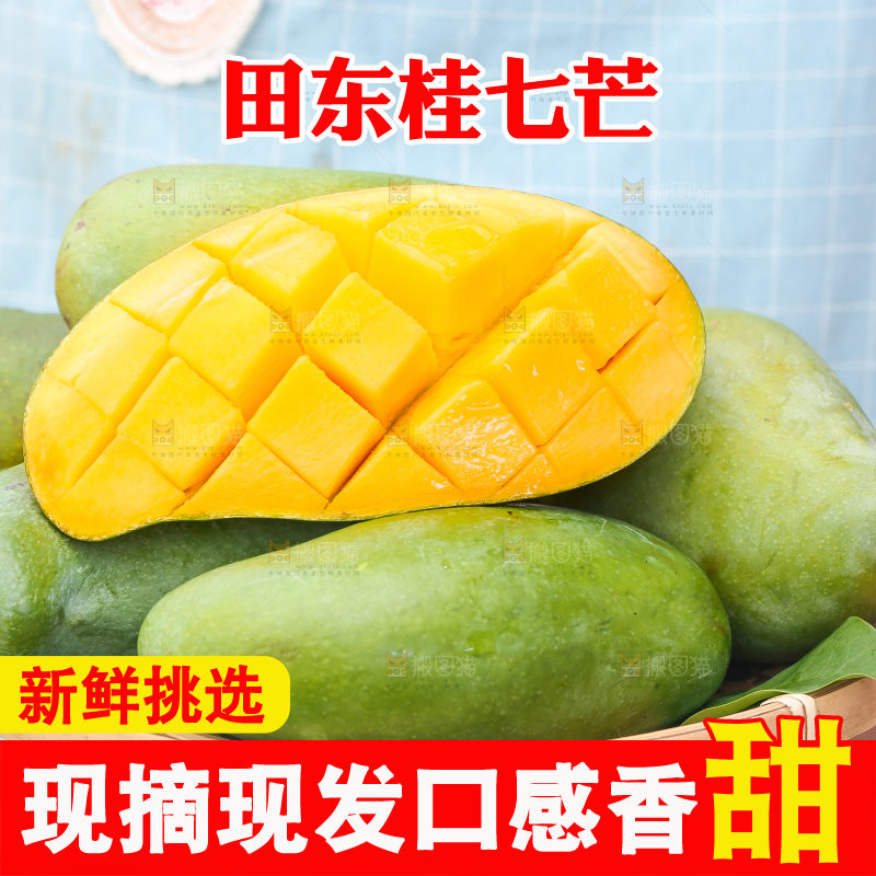 手端一盘桂七芒