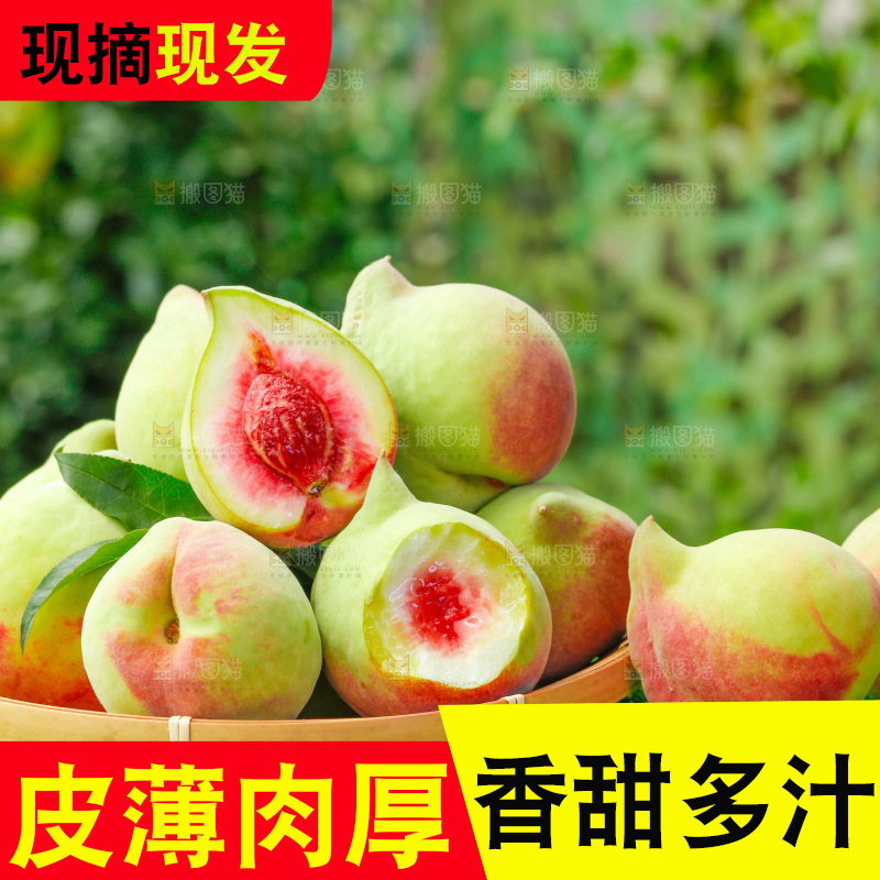 草地上的鹰嘴桃