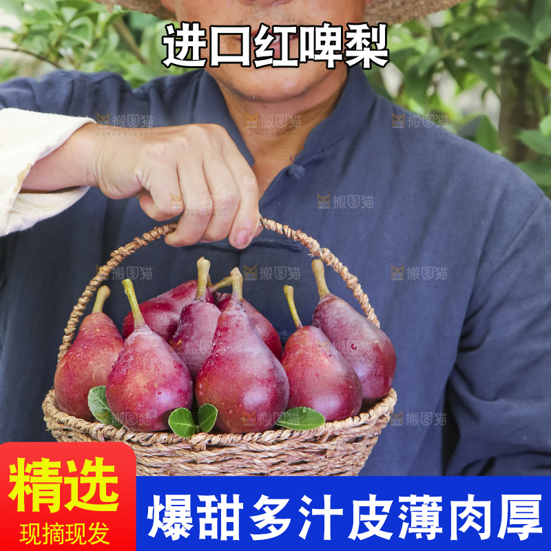 农民拿着一筐红啤梨