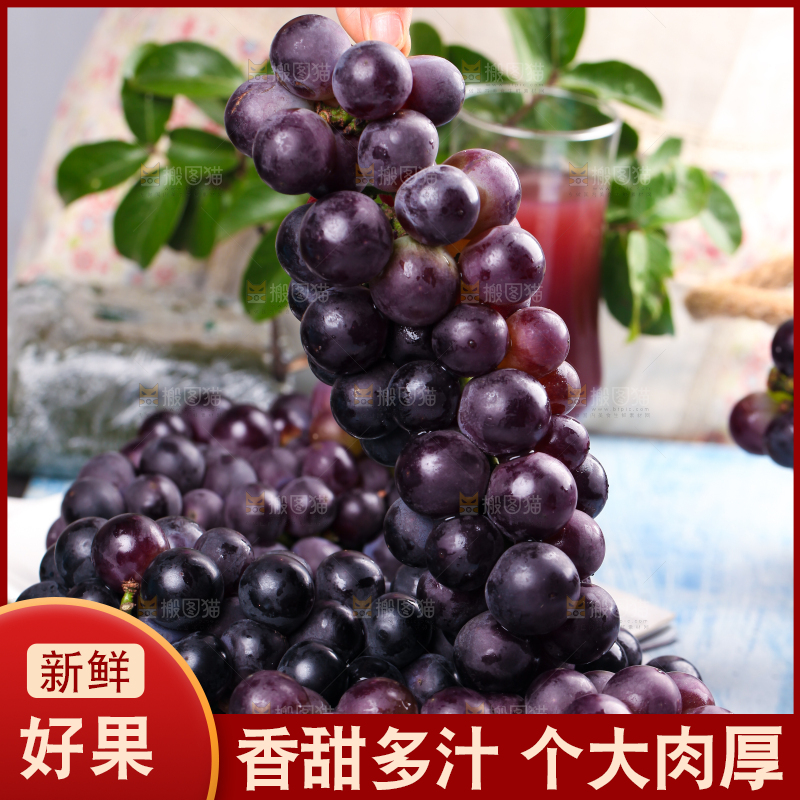 手拿新鲜的巨峰葡萄