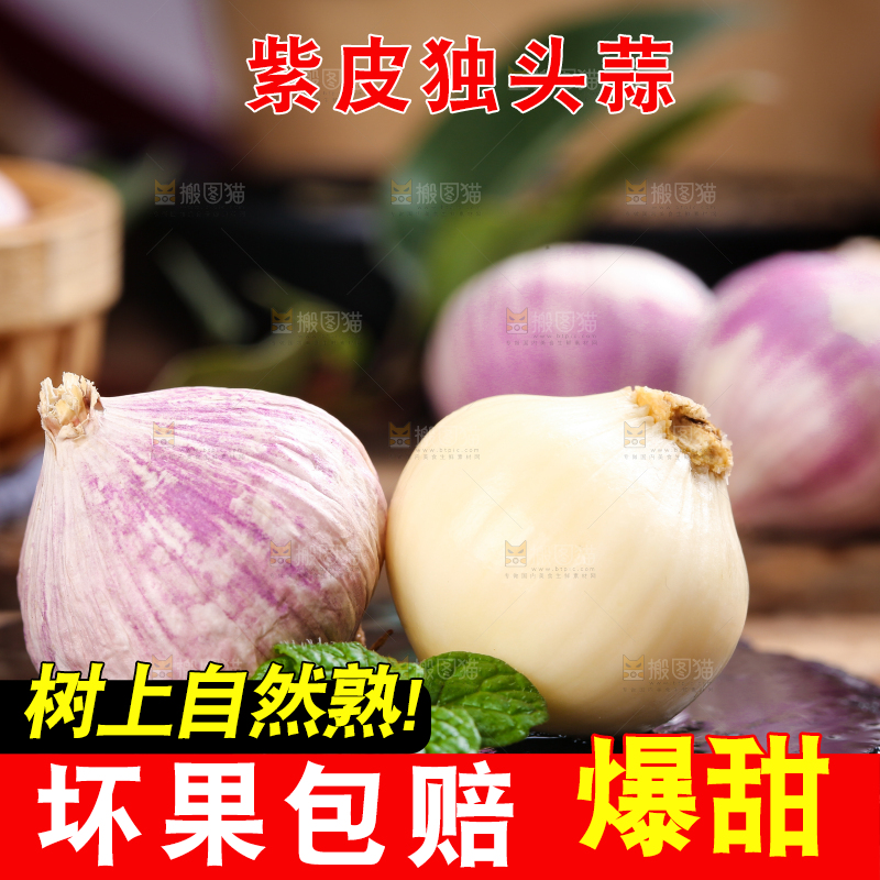 木底上摆放着紫皮独蒜